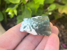 Load image into Gallery viewer, Tree agate
