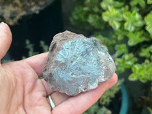 Load image into Gallery viewer, Pyrolusite
