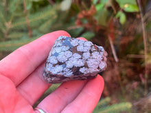 Load image into Gallery viewer, Snowflake obsidian
