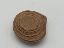 Load image into Gallery viewer, Sand stromatolite desert onion
