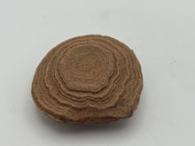 Load image into Gallery viewer, Sand stromatolite desert onion
