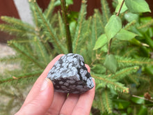 Load image into Gallery viewer, Snowflake obsidian
