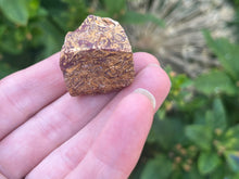Load image into Gallery viewer, Fossil Jasper
