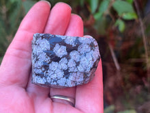 Load image into Gallery viewer, Snowflake obsidian
