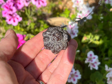 Load image into Gallery viewer, Limonite and Marcasite
