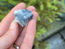 Load image into Gallery viewer, Dendrite opal
