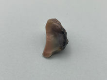 Load image into Gallery viewer, Ethiopian opal
