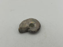 Load image into Gallery viewer, Ammonite fossil aragonite
