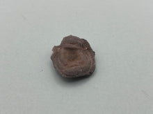Load image into Gallery viewer, Amorite chalcedony rose
