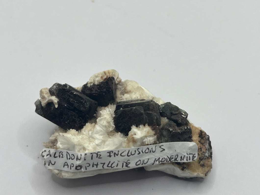 Calbdonite inclusions on apophyllite on modernite