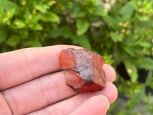Load image into Gallery viewer, Carnelian
