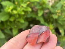 Load image into Gallery viewer, Carnelian

