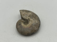 Load image into Gallery viewer, Ammonite fossil aragonite
