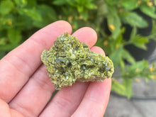 Load image into Gallery viewer, Epidote and Quartz
