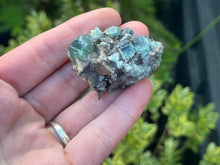 Load image into Gallery viewer, Fluorite
