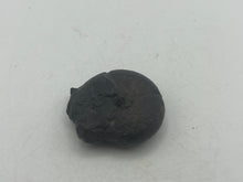 Load image into Gallery viewer, Hematite Goniotite
