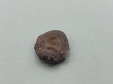 Load image into Gallery viewer, Amorite chalcedony rose
