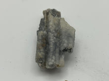 Load image into Gallery viewer, Bamboo agate
