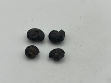 Load image into Gallery viewer, Hematite goniotite
