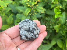 Load image into Gallery viewer, Snowflake obsidian
