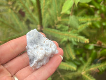 Load image into Gallery viewer, Dendrite opal
