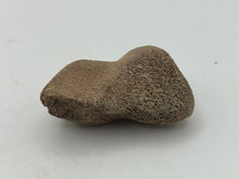 Load image into Gallery viewer, Cave bear bone
