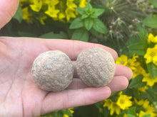 Load image into Gallery viewer, Moqui marbles (shaman stone)
