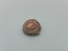 Load image into Gallery viewer, Amorite chalcedony rose
