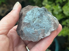 Load image into Gallery viewer, Pyrolusite
