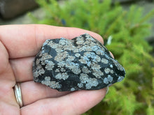 Load image into Gallery viewer, Snowflake obsidian
