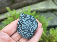 Load image into Gallery viewer, Snowflake obsidian
