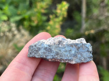 Load image into Gallery viewer, Pyrolusite
