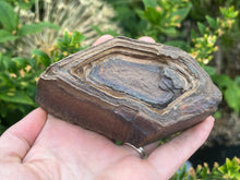 Load image into Gallery viewer, Regmaglyps (weathered sandstone)
