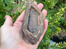 Load image into Gallery viewer, Regmaglyps (weathered sandstone)
