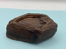Load image into Gallery viewer, Regmaglyps (weathered sandstone)
