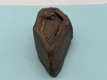 Load image into Gallery viewer, Regmaglyps (weathered sandstone)
