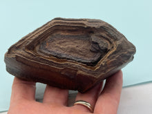 Load image into Gallery viewer, Regmaglyps (weathered sandstone)

