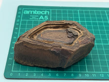 Load image into Gallery viewer, Regmaglyps (weathered sandstone)
