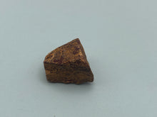 Load image into Gallery viewer, Fossil Jasper
