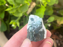 Load image into Gallery viewer, Tree agate
