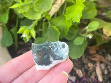 Load image into Gallery viewer, Tree agate
