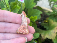Load image into Gallery viewer, Onchosaurus Rostral spine
