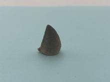 Load image into Gallery viewer, Mosasaur tooth
