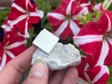 Load image into Gallery viewer, Pyrite cube on matrix
