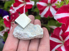 Load image into Gallery viewer, Pyrite cube on matrix
