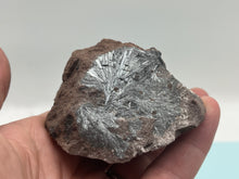Load image into Gallery viewer, Pyrolusite
