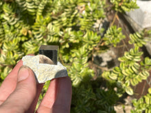 Load image into Gallery viewer, Pyrite cube on matrix
