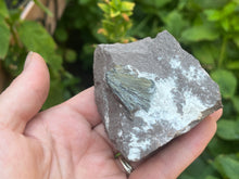 Load image into Gallery viewer, Pyrolusite
