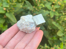 Load image into Gallery viewer, Pyrite cube on matrix
