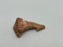 Load image into Gallery viewer, Onchosaurus Rostral spine
